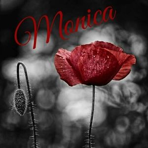 Meet your Posher, Monica